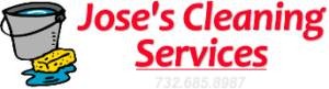 cleaning service websites